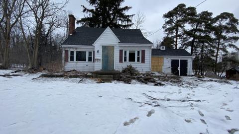 Wet and wild. - 04D56A1B-AAD7-4CA0-A617-D24A029AEAD2.jpeg