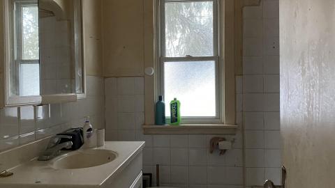 Wet and wild. - 7B9F0781-5D22-42C8-9320-714CFD964526.jpeg