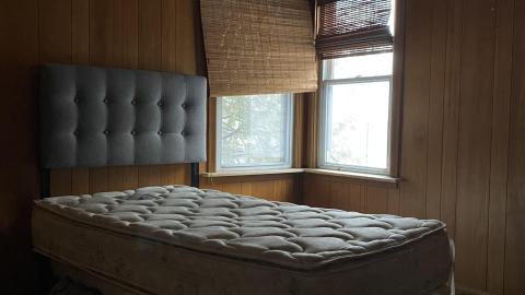 Wet and wild. - 35ECAF9C-CF3D-4DBE-80CC-0AD97A4A0490.jpeg