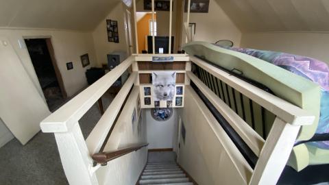 Wet and wild. - 85CCF7B7-60AA-4BA5-9F2B-F3BD53F619D1.jpeg