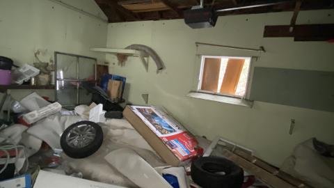 Wet and wild. - 3A26AE8C-1245-43A1-95D4-3B6C37CEDB4D.jpeg