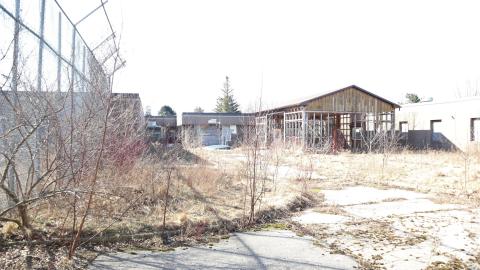 Early morning pilgrimage - IMG_0861.JPG