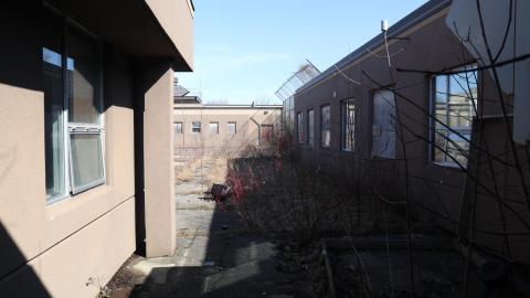 Early morning pilgrimage - IMG_0863.JPG