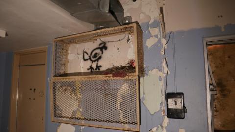 Early morning pilgrimage - IMG_0877.JPG