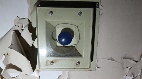 Early morning pilgrimage - IMG_0913.JPG