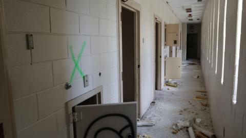 Early morning pilgrimage - IMG_0929.JPG