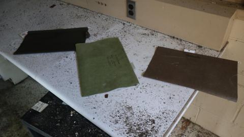 Early morning pilgrimage - IMG_0934.JPG