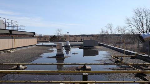 Early morning pilgrimage - IMG_0943.JPG