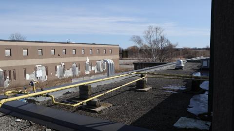 Early morning pilgrimage - IMG_0948.JPG