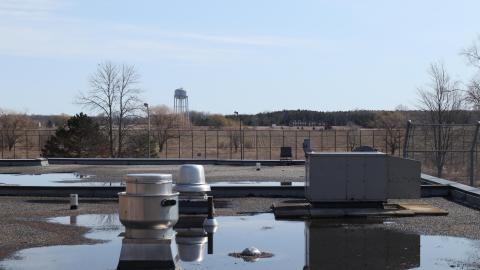 Early morning pilgrimage - IMG_0951.JPG