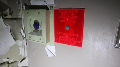 Early morning pilgrimage - IMG_0985.JPG