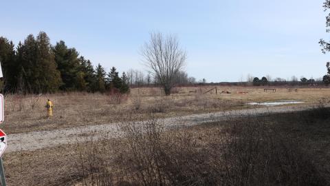 Early morning pilgrimage - IMG_1006.JPG