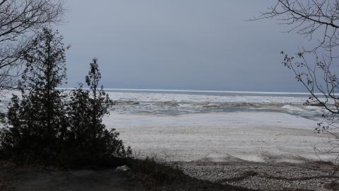 Early morning pilgrimage - IMG_1008.JPG