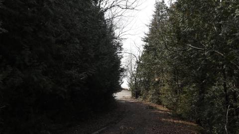 Early morning pilgrimage - IMG_1007.JPG