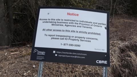 Early morning pilgrimage - IMG_1009.JPG