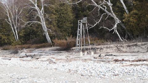 Early morning pilgrimage - IMG_1010.JPG