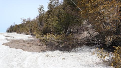 Early morning pilgrimage - IMG_1020.JPG