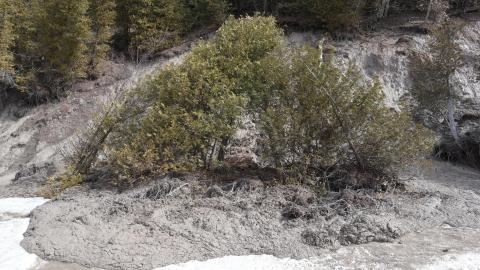 Early morning pilgrimage - IMG_1022.JPG