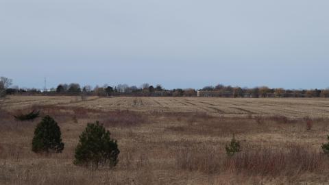 Early morning pilgrimage - IMG_1024.JPG