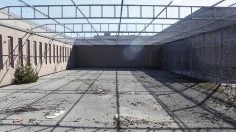 Early morning pilgrimage - IMG_0856.JPG