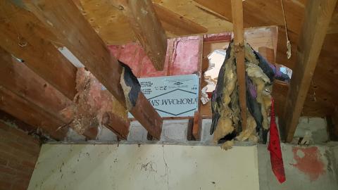 Cursed Basement - 20220320_152331.jpg