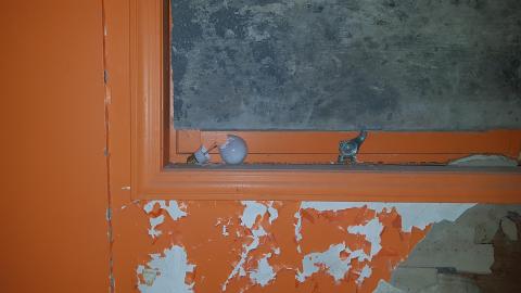 Cursed Basement - 20220320_152432.jpg