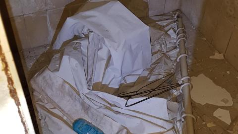 Cursed Basement - 20220320_152748.jpg