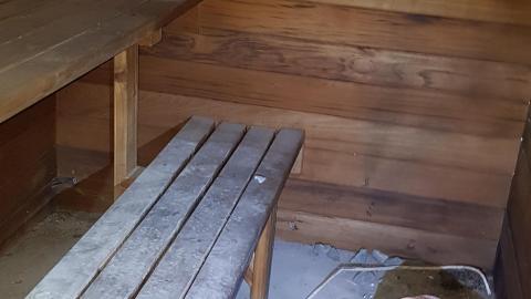 Cursed Basement - 20220320_152846.jpg