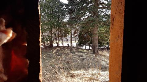 Cursed Basement - 20220320_153514.jpg