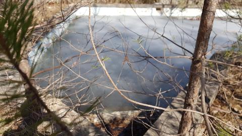 Cursed Basement - 20220320_154245.jpg