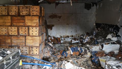 Flashback - September 2014 - 12.jpg