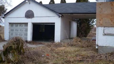 My Sharona - Sharon-Share-Alike5.jpg