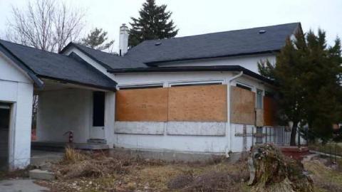 My Sharona - Sharon-Share-Alike6.jpg