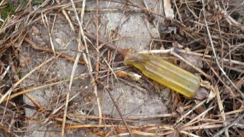 Photo from My Sharona