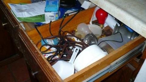 My Sharona - Sharon-Share-Alike9.jpg