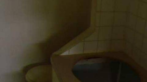 My Sharona - Sharon-Share-Alike10.jpg