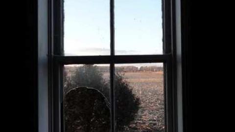 Feb 2012 - DSC02899.jpg