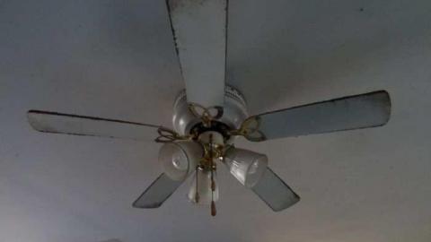 Feb 2012 - DSC02901.jpg