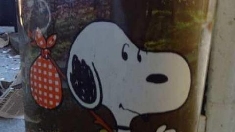 Feb 2012 - DSC02903.jpg