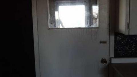 House Of Bees- Dorchester photo 4