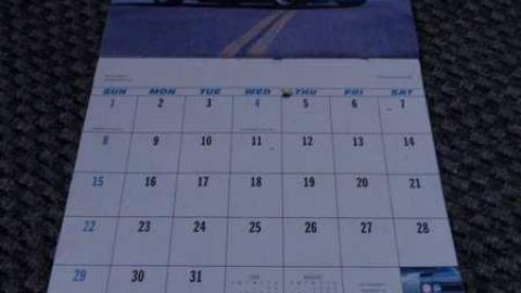 House Of Bees- Dorchester photo 5