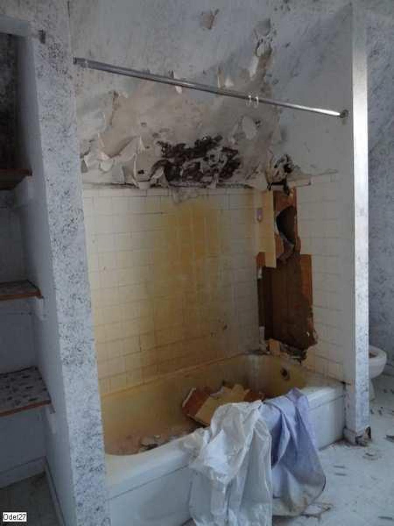 Feb 2012 - DSC02927.jpg