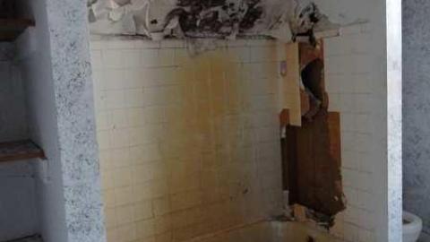 Feb 2012 - DSC02927.jpg