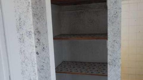 Feb 2012 - DSC02928.jpg