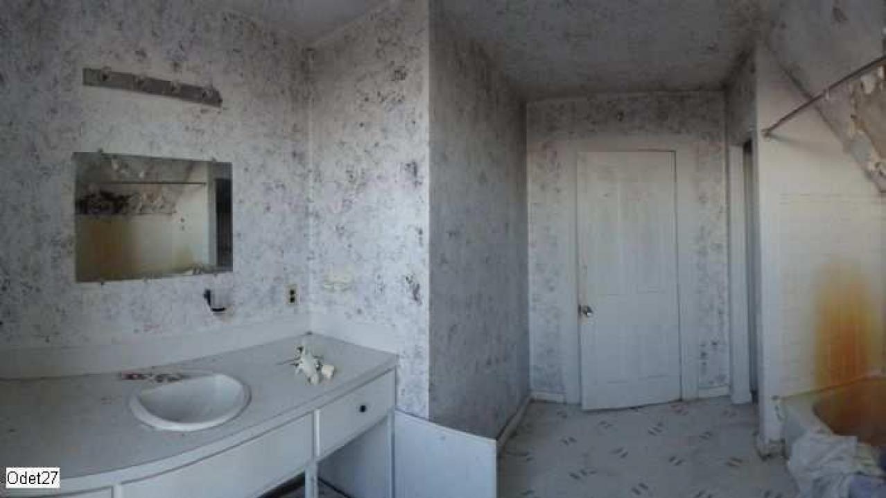 Feb 2012 - DSC02930.jpg