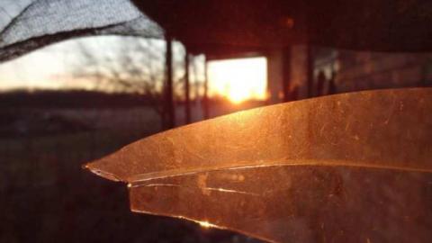 Feb 2012 - DSC02939.jpg