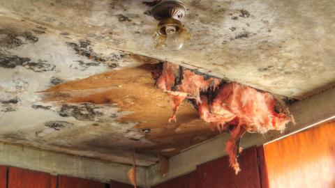 Initial Discovery Visit - 014X.jpg