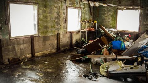 Initial Discovery Visit - 027X.jpg