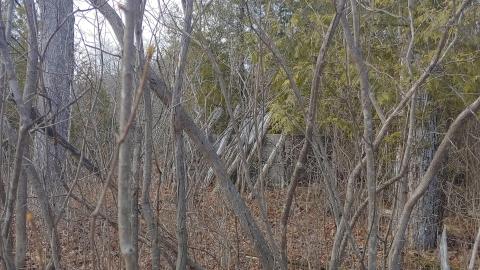 Marlbank Ghost Town 2022 - 20220326_162948_HDR.jpg