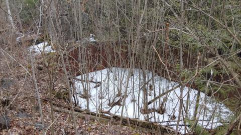 Marlbank Ghost Town 2022 - 20220326_152923.jpg